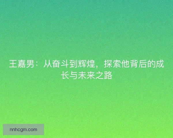 王嘉男:从奋斗到辉煌,探索他背后的成长与未来之路 王嘉男:从奋斗到辉煌,探索他背后的成长与未来之路