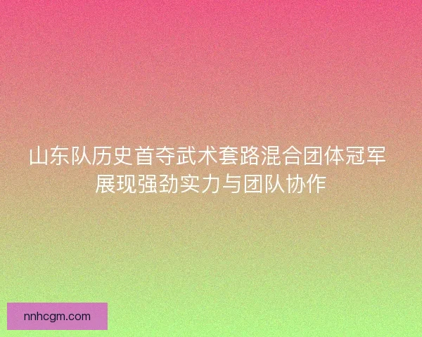 山东队历史首夺武术套路混合团体冠军 展现强劲实力与团队协作