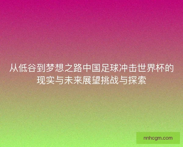 从低谷到梦想之路中国足球冲击世界杯的现实与未来展望挑战与探索